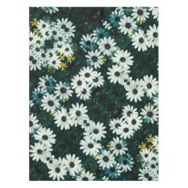 Pale Pastell Namaqualand Osteospermum Blume Tischdecke