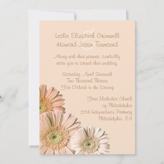 Pale Peach Gerber Daisy Custom Wedding Einladung (Vorderseite)