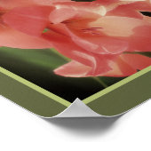 Pale Peach Gladiolus Blume Mirror Abstrakt Poster (Ecke)