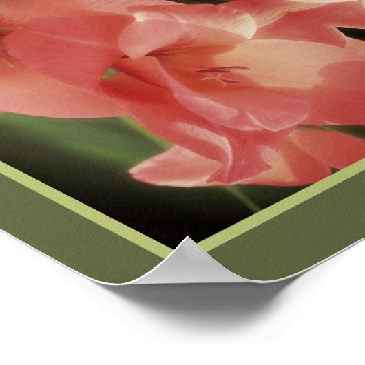 Pale Peach Gladiolus Blume Mirror Abstrakt Poster (Ecke)
