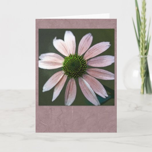 Pale pink echinacea karte (Vorderseite)
