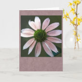 Pale pink echinacea karte (Gelbe Blume)