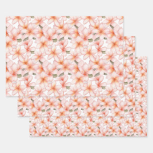 Pale Pink Plumeria Frangipani Blume Geschenkpapier Set