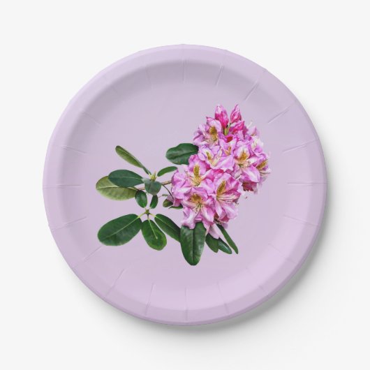 Pale Pink Rhododendron Pappteller (Vorderseite)