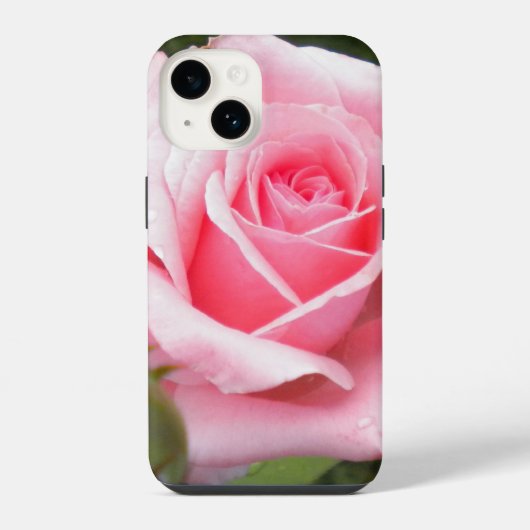 Pale Pink Rose iPhone Hülle (Rückseite)