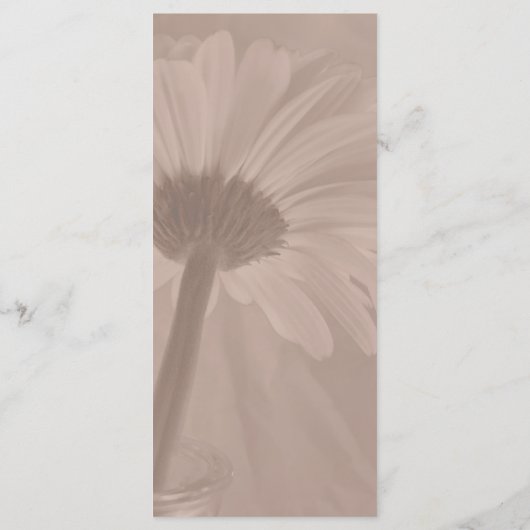 Pale Pink Tinted Daisy Wedding Program Programm (Rückseite)