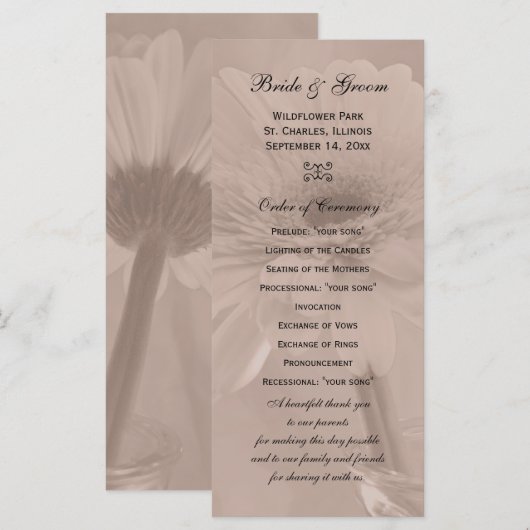 Pale Pink Tinted Daisy Wedding Program Programm (Vorne/Hinten)