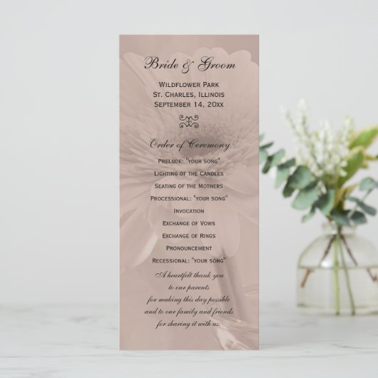 Pale Pink Tinted Daisy Wedding Program Programm (Stehend Vorderseite)