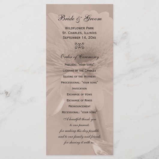 Pale Pink Tinted Daisy Wedding Program Programm (Vorderseite)