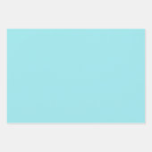 Pale Robin's Egg Blue & White Floral Lattice Geschenkpapier Set (Vorderseite 2)