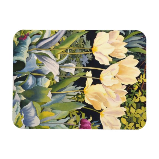 Pale Tulips Magnet (Horizontal)