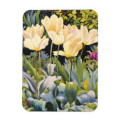 Pale Tulips Magnet (Vertikal)