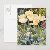 Pale Tulips Postkarte (Vorne/Hinten)