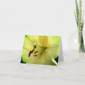 Pale Yellow Lily Flower Photography (Vorderseite)