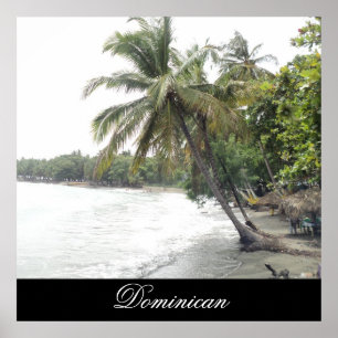 Palenque Beach in der Dominikanischen Republik Poster