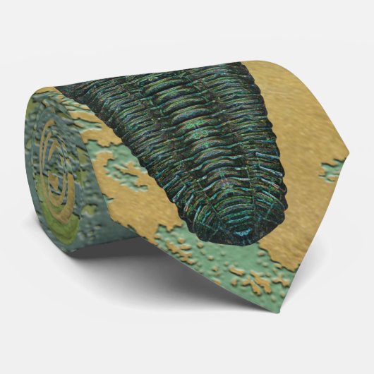 "Paleo-chic" Calymene Niagarensis Trilobit Krawatte (Gerollt)