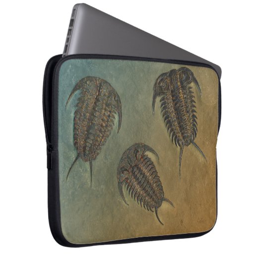 "Paleo-chic" Ceraurus Fossil Trilobit Laptopschutzhülle (Vorne Rechts)