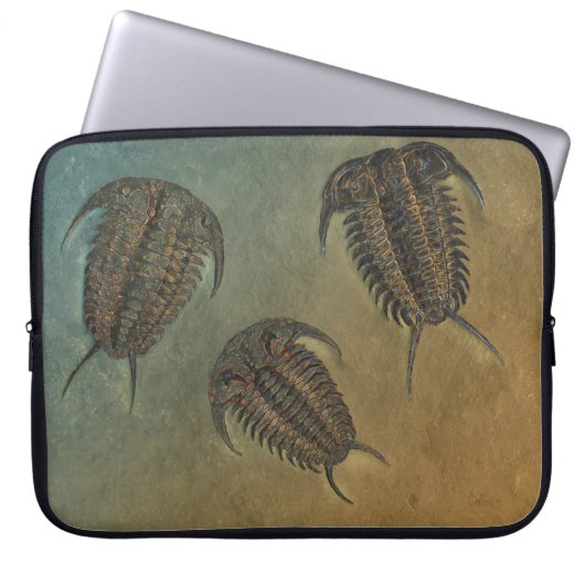 "Paleo-chic" Ceraurus Fossil Trilobit Laptopschutzhülle (Vorderseite)