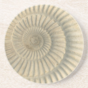 "Paleo-chic" Perisphinctes Ammonit Trinket Tray Getränkeuntersetzer
