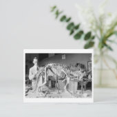 Paleontology Scientist Baby Dinosaur Vintag Postkarte (Stehend Vorderseite)