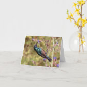 Palestina Sunbird, National Bird Wildlife Poster Karte (Gelbe Blume)