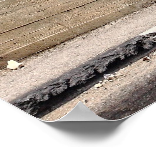 Palestine Apartheid Wall Graffiti Poster (Ecke)