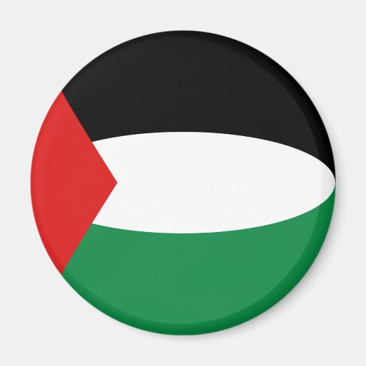 Palestine Fisheye Flag Magnet (Vorne)