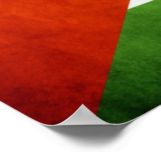 Palestine Grunge Poster (Ecke)