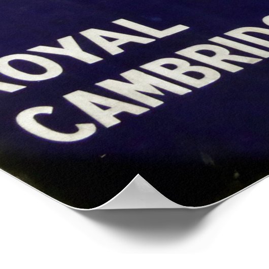 Palethorpes Würstchen, Vintages Emailschild. Poster (Ecke)