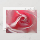 Paletrosa Postkarte (Vorne/Hinten)