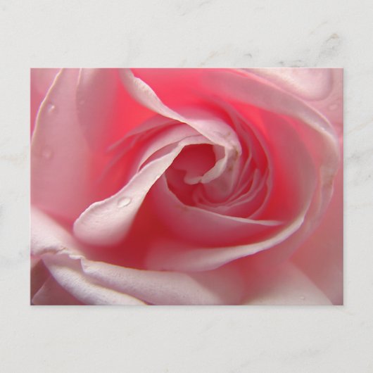 Paletrosa Postkarte (Vorderseite)