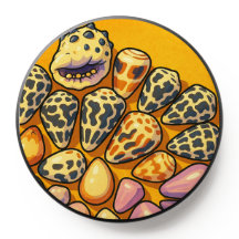 Palette PopSocket