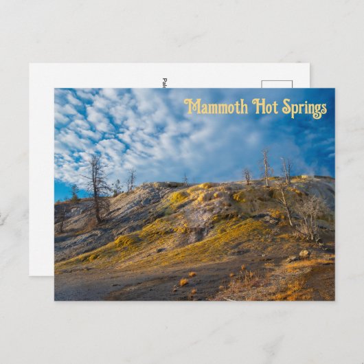 Palette Springs Sunrise Mammos Hot Springs Postkarte (Vorne/Hinten)