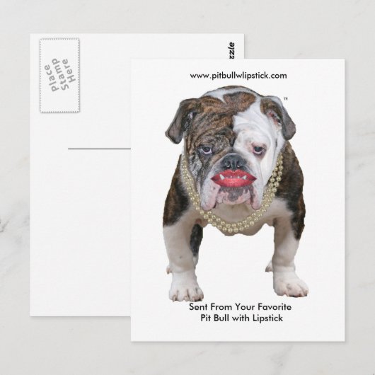 Palin Pit Bull mit Lipstick-Postkarte Postkarte (Vorne/Hinten)