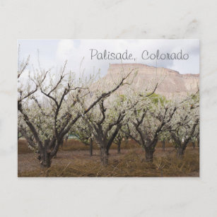Palisade, Colorado Postkarte