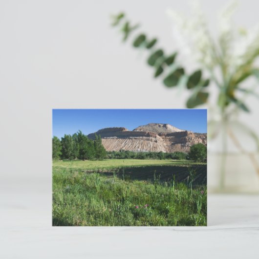 Palisade Farm Postkarte (Stehend Vorderseite)