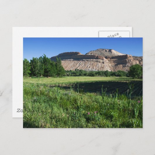 Palisade Farm Postkarte (Vorne/Hinten)