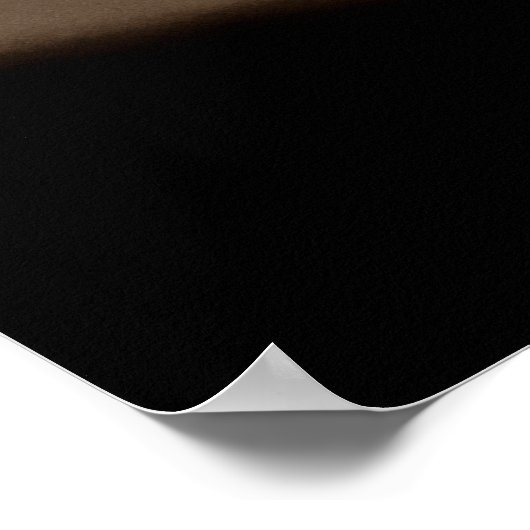 PALITOS pass Poster (Ecke)