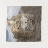 Pallas-Katze im Schnee Wandteppich (Vorderseite (Horizontal))