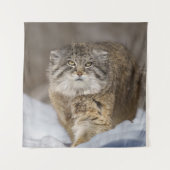 Pallas-Katze im Schnee Wandteppich (Vorderseite)