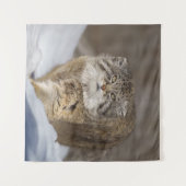 Pallas Katze im Schnee Wandteppich (Vorderseite (Horizontal))