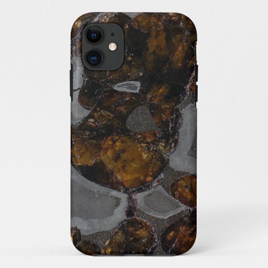 Pallasite Case-Mate iPhone Hülle (Rückseite)