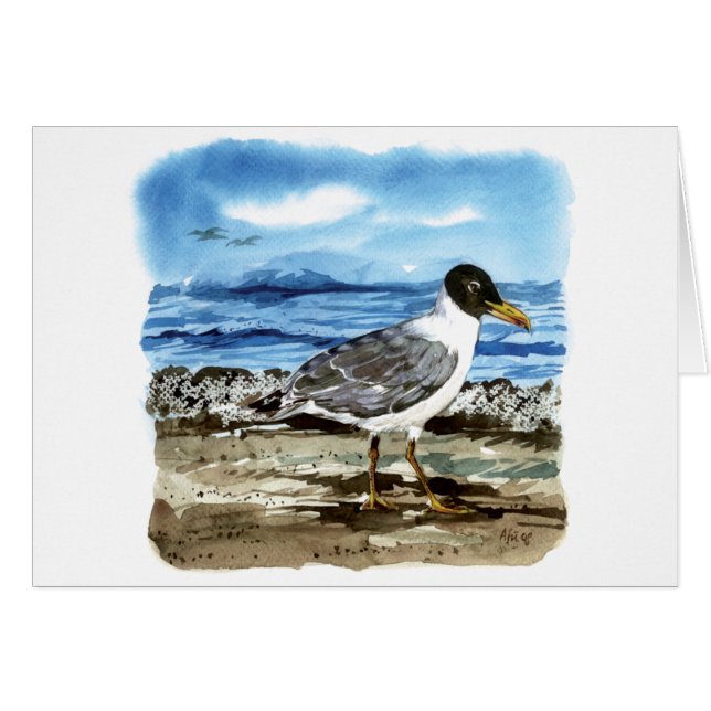 Pallass Möve (Vorderseite (Horizontal))