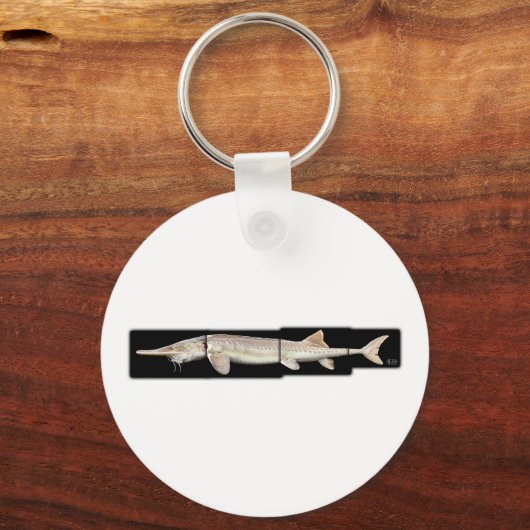 Pallid Sturgeon - Scaphirhynchus albus Schlüsselanhänger (Vorderseite)