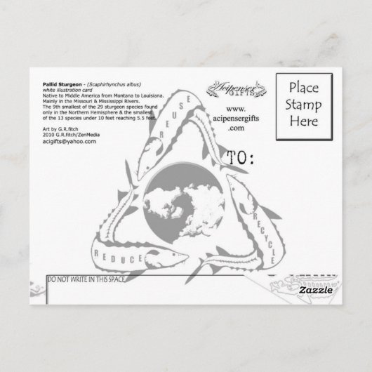 Pallid-White-Postcard Postkarte (Rückseite)