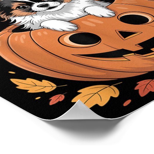 Pallon Costume On Pumpkin Halloween Pallon Poster (Ecke)