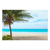 Palm am Strand Fotodruck (Vorne)
