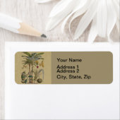 Palm Antique Tropical Frucht Botanische Kunst (Insitu)