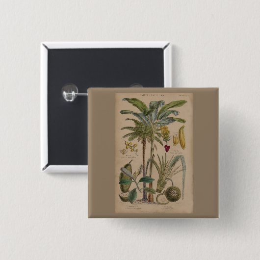 Palm Antique Tropical Frucht Botanische Kunst Button (Vorne & Hinten)