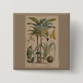 Palm Antique Tropical Frucht Botanische Kunst Button (Vorderseite)